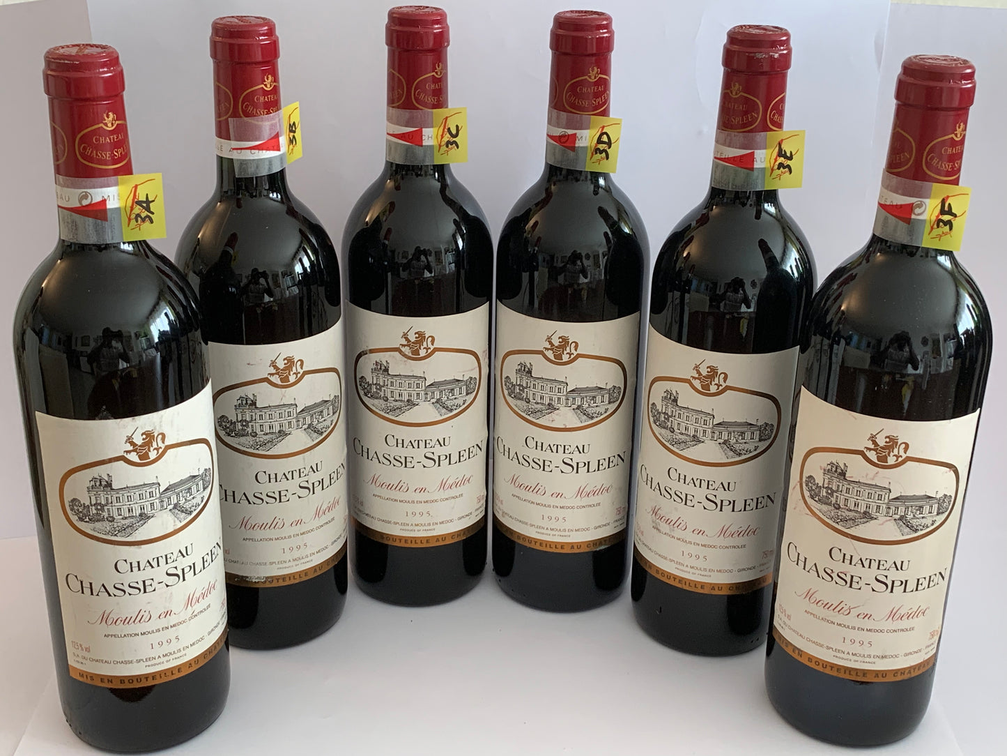 Lot 6x Château Chasse-Spleen, Moulis en Médoc, 1995